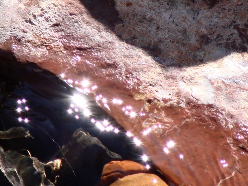 Desert Stream